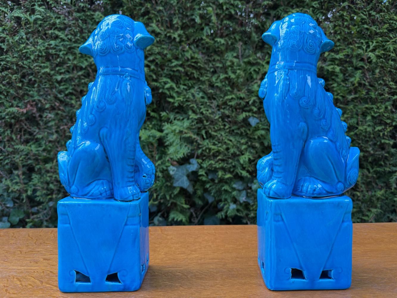 Chinese Pair of foo dogs